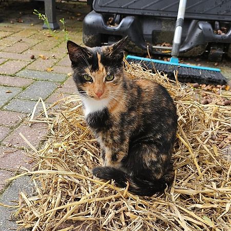 Ham Annex B&B Almelo Eksteriør billede